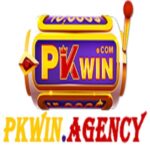 Foto del profilo di Pkwin Agency